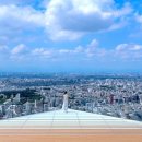 도영 주식회사 이미지