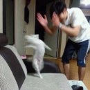 하도리 일번지 | [제주여행] 2박 3일 뚜벅이 커플 힐링 코스 (서쪽 숙소 추천👍/택시처럼 부르는 옵서버스/세화 포장 횟집...