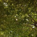 연인산캠핑장 다목적운동장 이미지