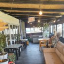 멍멍이 날다 이미지