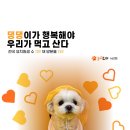 놀러오개 서산점 이미지