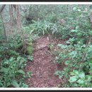 애월다래네 이미지