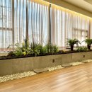 밸런스 힐링 요가 이미지