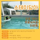 스테이 담아 이미지