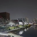 지약국 이미지