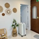 제주조우아 조수 이미지