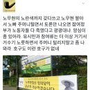 의원내각제 주장해오던 심상정 이미지