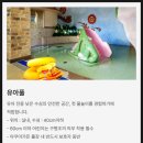 가든정경 | 부여 롯데리조트 조식 아쿠아가든 이용팁