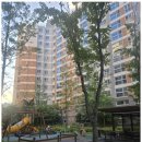 대박부동산중개사무소 이미지