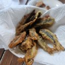 우리 캠핑장 이미지