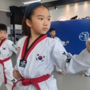 타이거킥스 태권도장 이미지