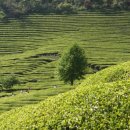 헤븐(HEAVEN) 이미지