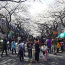 삼도제주 이미지