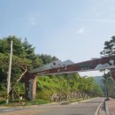 도깨비캠핑장 이미지