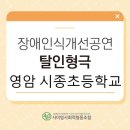 시종초등학교 이미지
