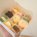 단스부띠끄 이미지