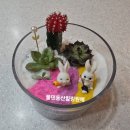 양산화분