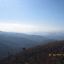 달곡 Daum카페