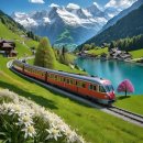 초록풍경 이미지