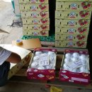 방골농장 이미지