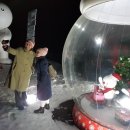 오일랜드 이미지