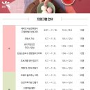 소통과 공감의 타로 심리(기본) 네이버블로그