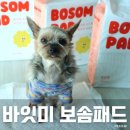 강아지배변패드 추천 바잇미보솜패드 사용후기