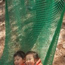 회인초교 병설유치원 이미지