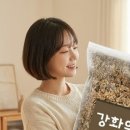 효소명가 이미지