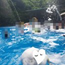 반송명가