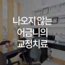 일리노이 치과교정과 치과의원 이미지