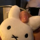 Queen뽑기 이미지