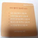 [제품 후기] 라포즈미 마이가바&amp;마이멜라 구매 후기