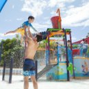 로얄피시 이미지