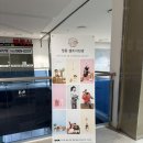 정원사진관 | 19개월 아기와 함께 다녀온 정원 셀프 사진관 인천 청라 스퀘어세븐점 내돈내산 후기