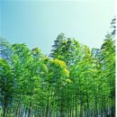 반짝반짝빛나라 이미지