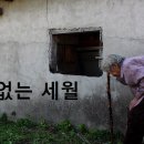 덧없다 의미와 ‘덧’의 어원 이미지