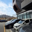 판다림분당죽전