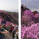 고이 이미지