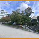 지노카서비스 이미지