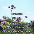 목화 - 영도구 | 목화