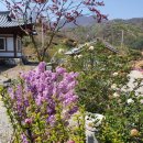 김천한솔펜션 이미지