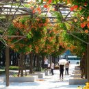 부천-중앙-부천-02 이미지