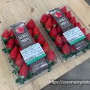 농촌테마공원1 이미지