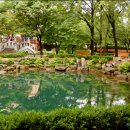 황지연못 이미지