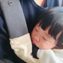 루다목장 이미지