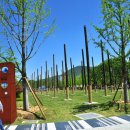 부산시민공원 이미지