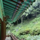 럭키스테이 | 여수 향일암 템플스테이 후기 / 완전 럭키비키잖아