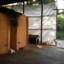 하나농산물 이미지