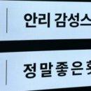 안리감성 스테이 이미지